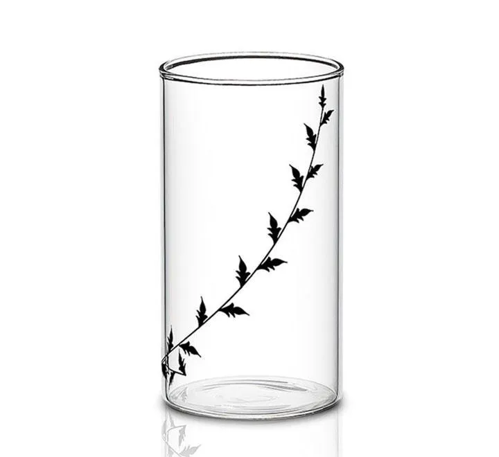 Large Vision Designer Glasses 6 Pcs 350ml